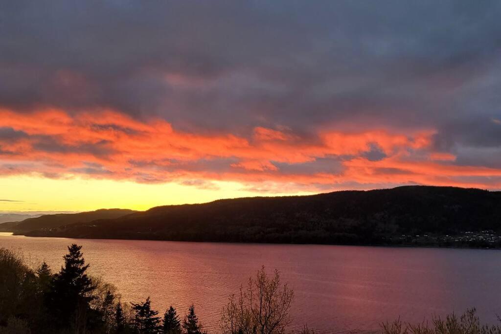 Coastal Lookout Suites Corner Brook Exteriör bild